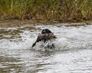 20161008-WCXW-0698.jpg