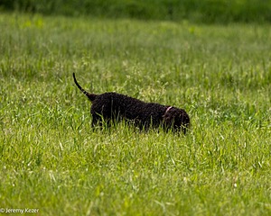 20220613-WD-0232.jpg