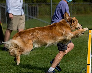 20200819-0552.jpg