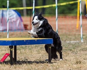 20160619-CCKC-1444.jpg