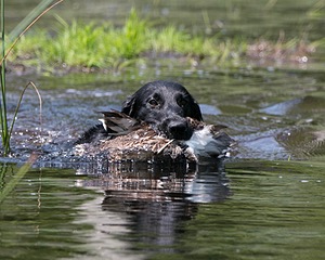 20140810-SHW-0006.jpg