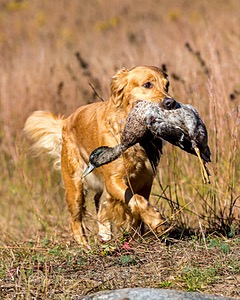 Emma Moffett