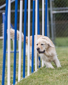 20200819-2102.jpg