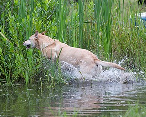 20130713-MHB2-0263.jpg