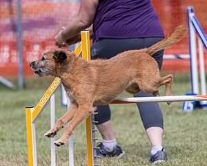 20200819-2365.jpg