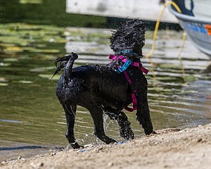 Penny Toby-Ann