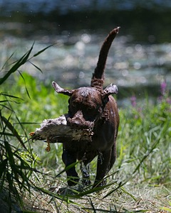 20130811-SHW-0009.jpg