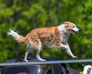 20170520-NEAT-0935.jpg