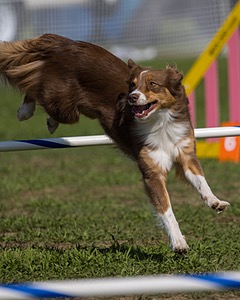 20220917-PVKC-0208.jpg