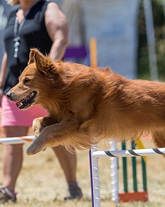 20160618-CCKC-1484.jpg