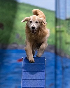 20260221-0813.jpg