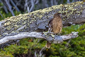 20260327-0114.jpg