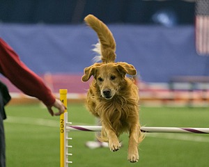 20150321-LEAP-0655.jpg