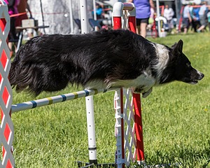 20170520-NEAT-0605.jpg