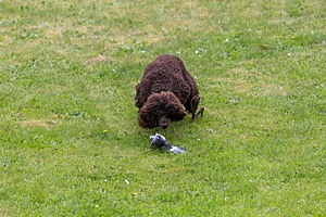 20190512-BD-0016.jpg