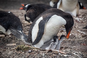 20191209-0224.jpg