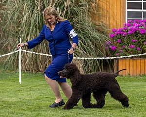 18 - CH FLINTCREST FLYING TRAPEZE (Kelly)
