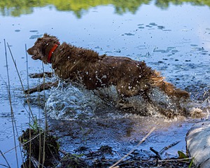 20220604-SHW-2457.jpg