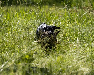 20220605-FINW-1705.jpg