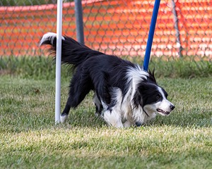 20200819-2884.jpg