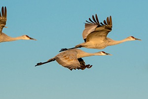 20151206-1566.jpg