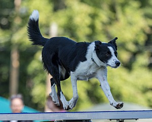 20220917-PVKC-0939.jpg