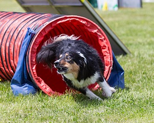 20160514-NEAT-0694.jpg