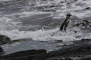 20191217-0817.jpg