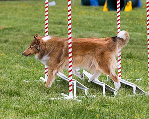 20160515-NEAT-0303.jpg