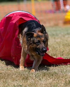 20150613-CCKC-0303.jpg