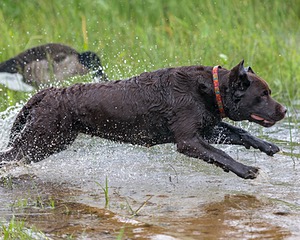 20180804-JHW-0019.jpg
