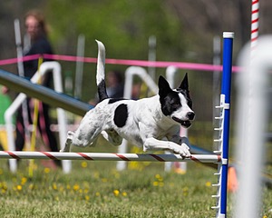 20160514-NEAT-0558.jpg