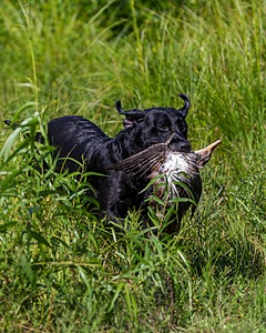 20160717-WCXW-0038.jpg