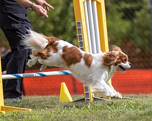 20200819-1078.jpg