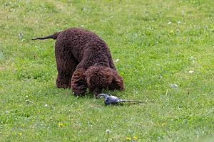 20190512-BD-0026.jpg