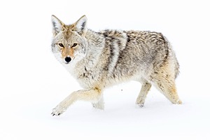 20220210-4203.jpg