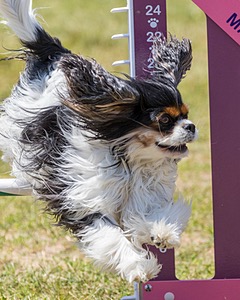20180616-1284.jpg