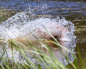 Jake Patterson