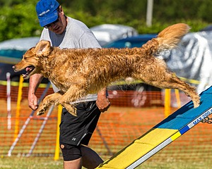 Pit Lamphere