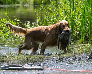 20130714-MHB2-0054.jpg