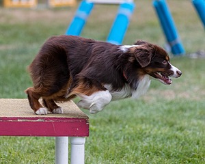 20200819-2806.jpg