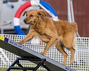 20230916-PVKC-1728.jpg