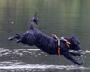 Rio Abbruzzese
