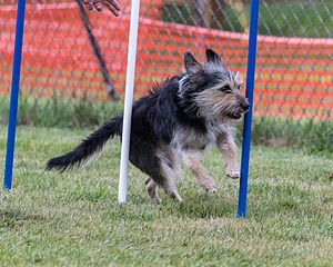 20200819-2902.jpg