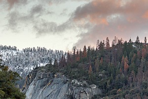 20170211-0016.jpg