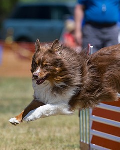 20150613-CCKC-0195.jpg