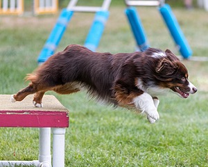 20200819-2807.jpg