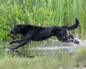 20130713-MHB2-0182.jpg