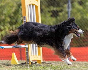 20200819-1072.jpg