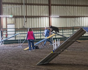 20190513-AG-0095.jpg